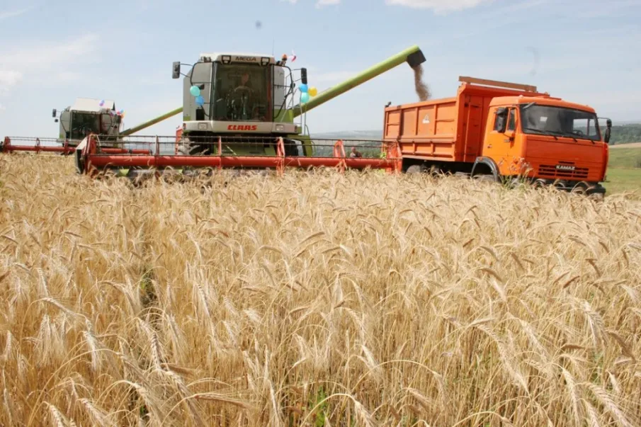 Уборка урожая на 29.07.2019