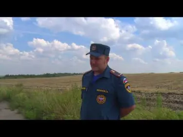 День создания органов государственного пожарного надзора