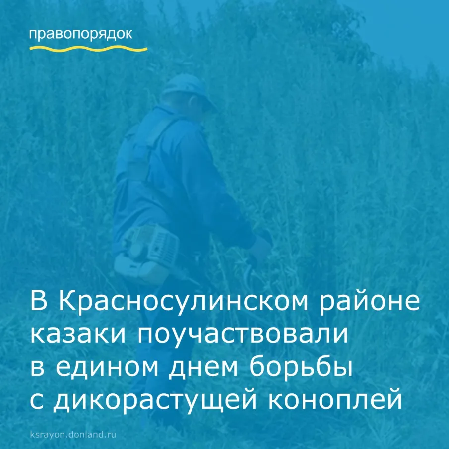 Единый день борьбы с дикорастущей коноплей прошел в Красносулинском районе. Антинаркотическое мероприятие проводится каждый месяц