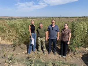 Выезд рабочей группы по выявлению посевов незаконно культивируемых наркотикосодержащих растений и очагов дикорастущей конопли на территории Красносулинского района