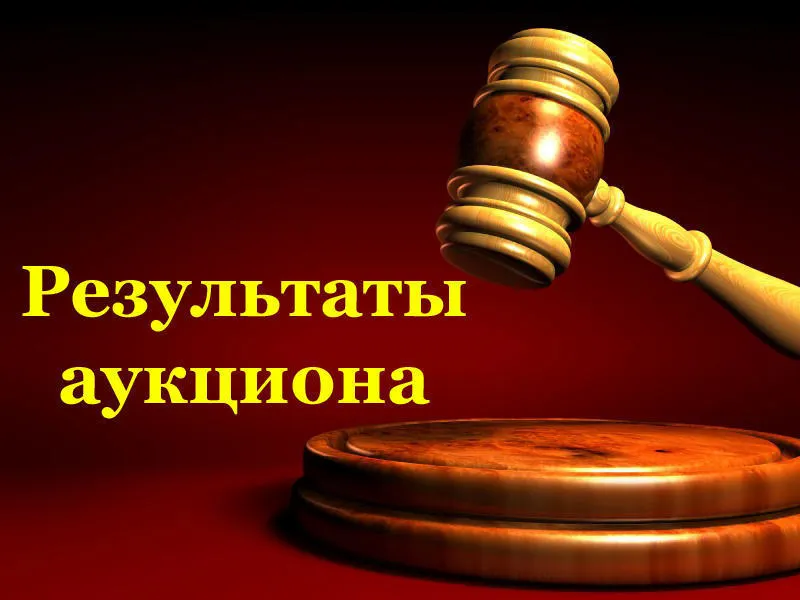 Результаты аукционных торгов