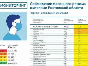 Итоги мониторинга масочного режима на Дону за 25-26 мая
