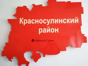 О состоянии и тенденциях развития в рамках семейной политики Красносулинского района