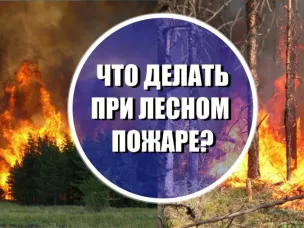 Памятка населению по действиям при возникновении лесного пожара