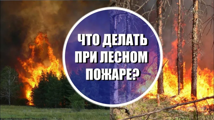 Памятка населению по действиям при возникновении лесного пожара
