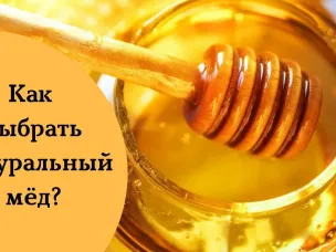 О рекомендациях как выбрать мёд