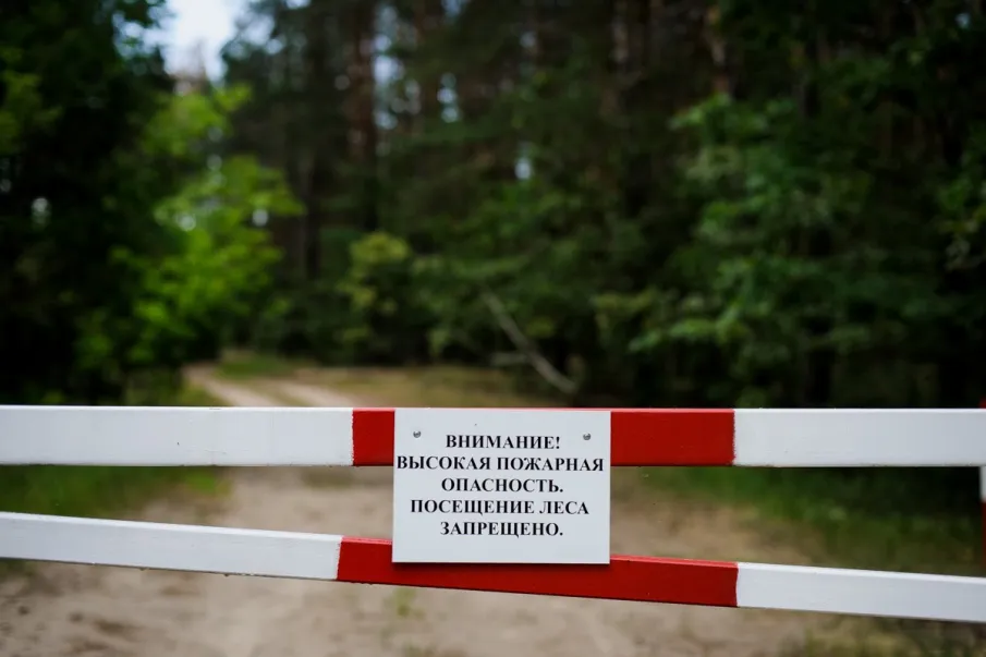 Ограничение на пребывание граждан в лесах!