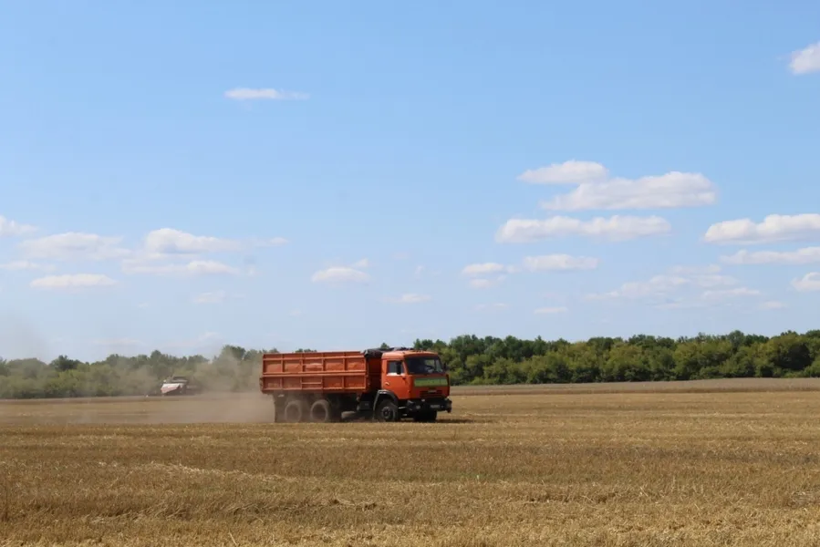 Уборка урожая на 05.08.2019