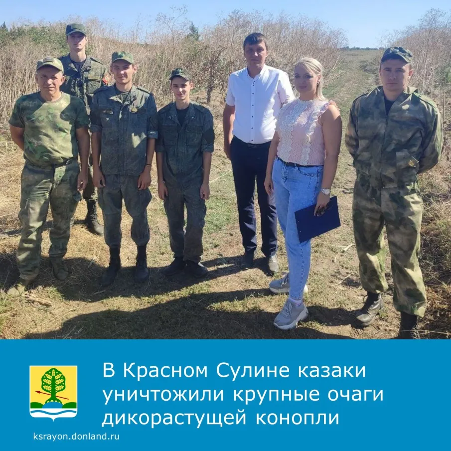 Выезд рабочей группы по выявлению посевов незаконно культивируемых наркотикосодержащих растений и очагов дикорастущей конопли на территории Красносулинского района
