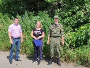 Выезд рабочей группы по выявлению посевов незаконно культивируемых наркотикосодержащих растений и очагов дикорастущей конопли на территории Красносулинского района