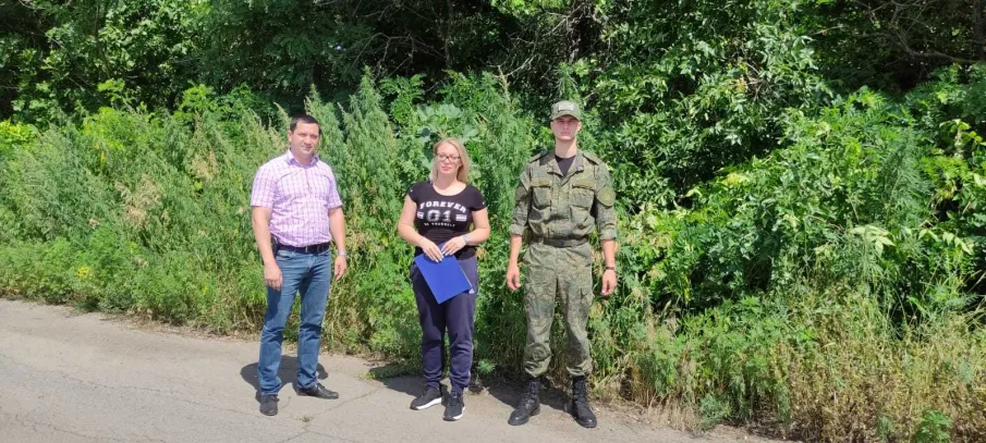 Выезд рабочей группы по выявлению посевов незаконно культивируемых наркотикосодержащих растений и очагов дикорастущей конопли на территории Красносулинского района