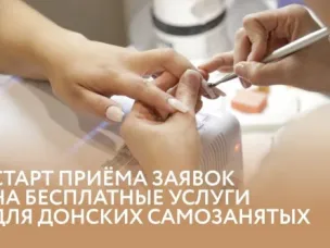 Донские самозанятые могут получить господдержку на продвижение своего бизнеса