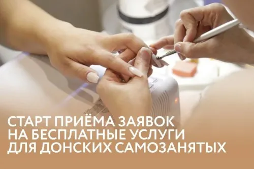 Донские самозанятые могут получить господдержку на продвижение своего бизнеса
