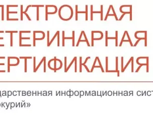 Оформление электронных ветеринарных сопроводительных документов