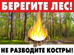 Правила пожарной безопасности в лесу