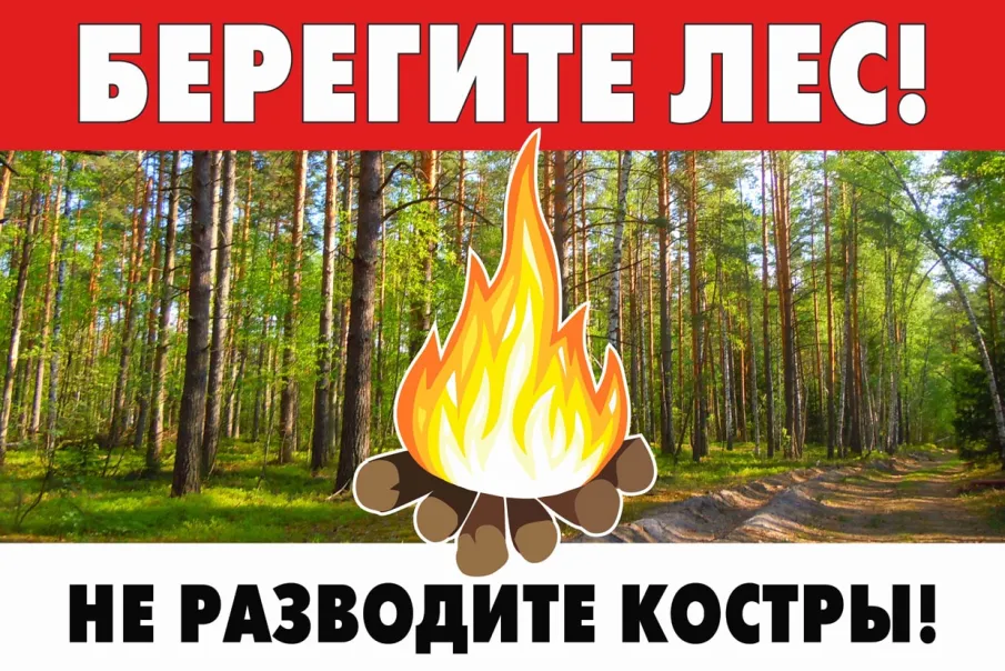 Правила пожарной безопасности в лесу
