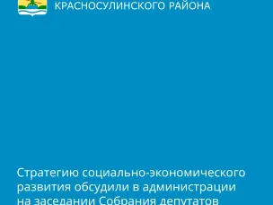 В Красносулинском районе обсудили корректировку и утвердили Стратегию социально-экономического развития муниципального образования до 2030 года
