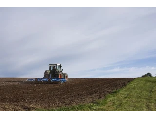 Полевые работы на 25.09.2019