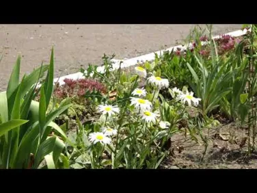 Реализация проекта "Формирование комфортной городской среды" в г. Красный Сулин