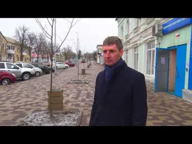 Саженцы липы украсили улицу Победы в г. Красный Сулин