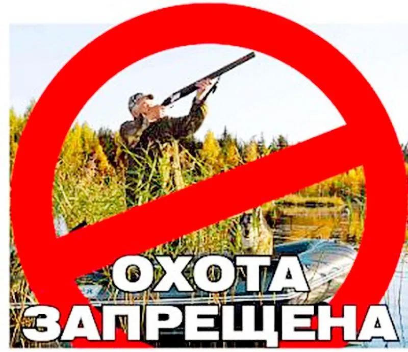 Об установления запрета охоты