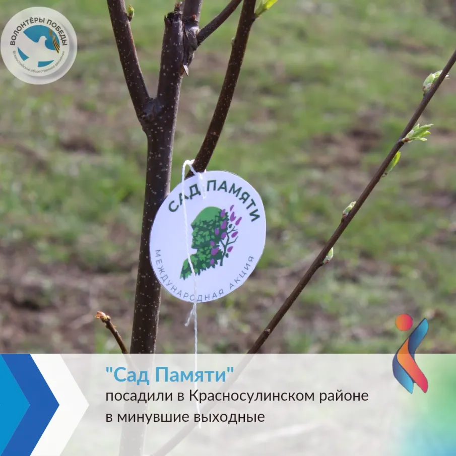 Сад Памяти