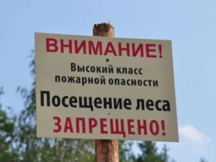В Ростовской области введен режим ограничения пребывания граждан в лесах