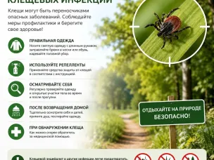 Профилактика клещевых инфекций!