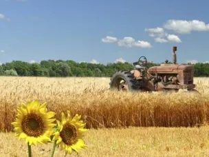 Уборка урожая по состоянию на 26.07.2019