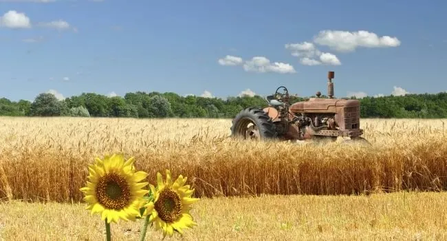 Уборка урожая по состоянию на 26.07.2019