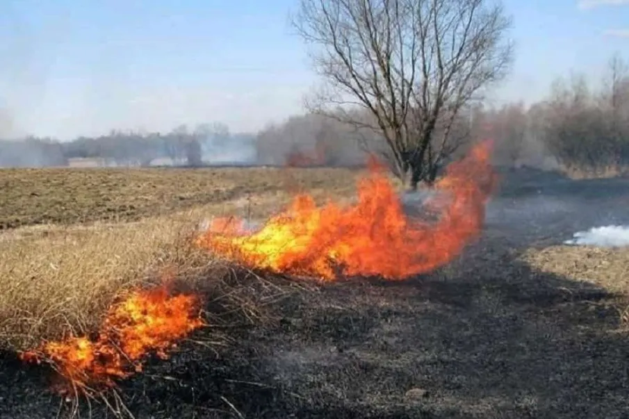 На территории Красносулинского района сохраняется высокая пожароопасность