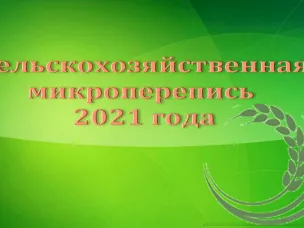 Красносулинский район готовится к сельскохозяйственной микропереписи