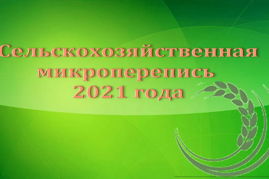 Красносулинский район готовится к сельскохозяйственной микропереписи