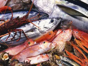 О качестве и безопасности рыбы и морепродуктов