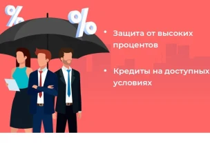 «Зонтичный» механизм поручительств