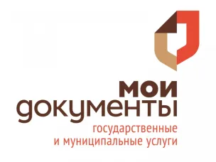 Итоги работы многофункционального центра предоставления государственных и муниципальных услуг «Мои Документы»