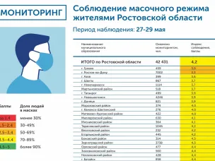 Итоги мониторинга масочного режима на Дону за 27-29 мая