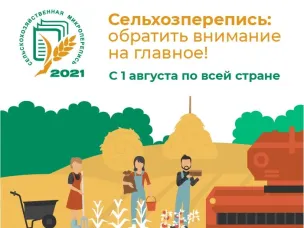 Шаблоны баннеров  СХМП-2021