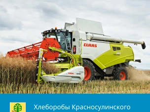 В Красносулинском районе сельхозпроизводители продолжают уборку зерновых