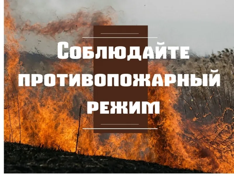 Правила поведения в пожароопасный период
