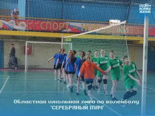 Определились финалисты муниципального этапа школьной лиги Ростовской области по волейболу "Серебряный мяч" среди команд общеобразовательных организаций
