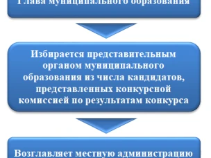 Органы местного самоуправления