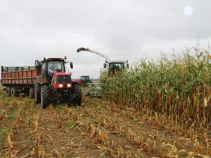 Сводная по уборке урожая по состоянию на 23.10.2019