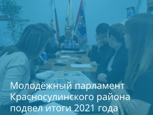 Красносулинская молодёжь обсудила план работы