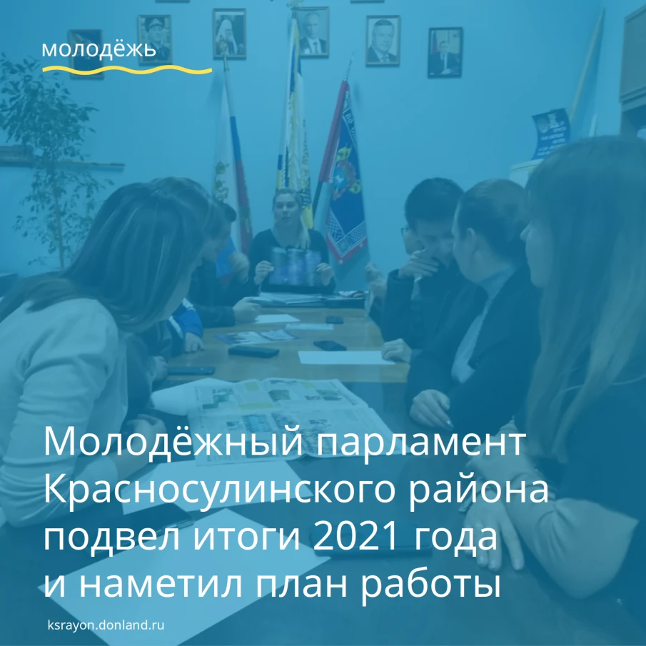 Красносулинская молодёжь обсудила план работы