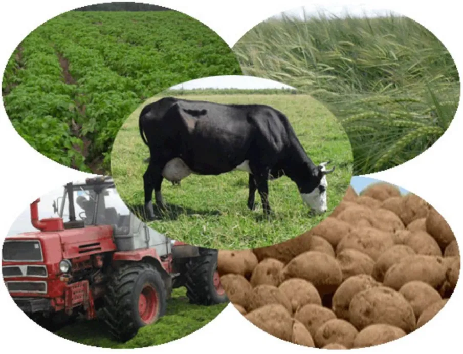 С 01.04.2019 изменяется порядок учета доходов от реализации плодов и продукции, полученных в личном подсобном хозяйстве при назначении адресной социальной помощи