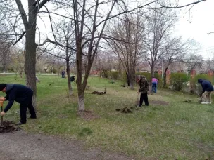 36 елей в память об участниках войны высажены на территории Комиссаровской школы