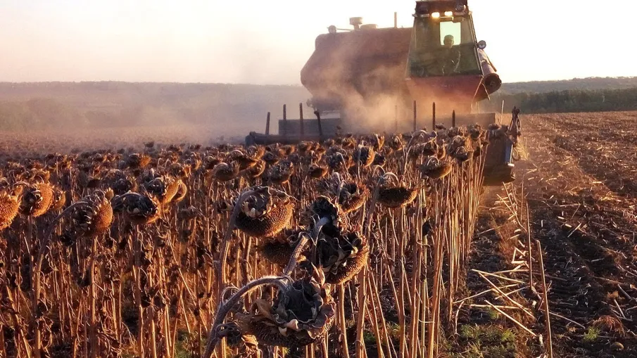 Сводная по уборке по состоянию на 14.10.2019
