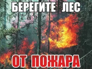 Об ограничении прибывания граждан в лесах