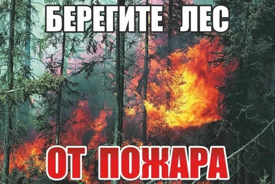 Об ограничении прибывания граждан в лесах